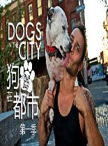 狗在都市第一季 海报