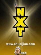 美国摔跤比赛NXT2013