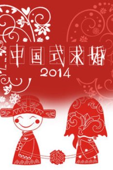 中国式求婚2014