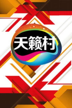 天籁村2014 海报