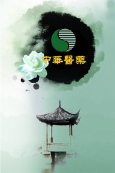 中华医药2013