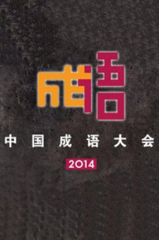 中国成语大会2014