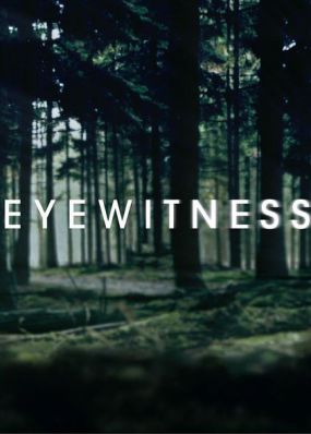 目击证人第一季
